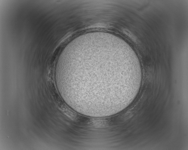 X0000082931258200702152138