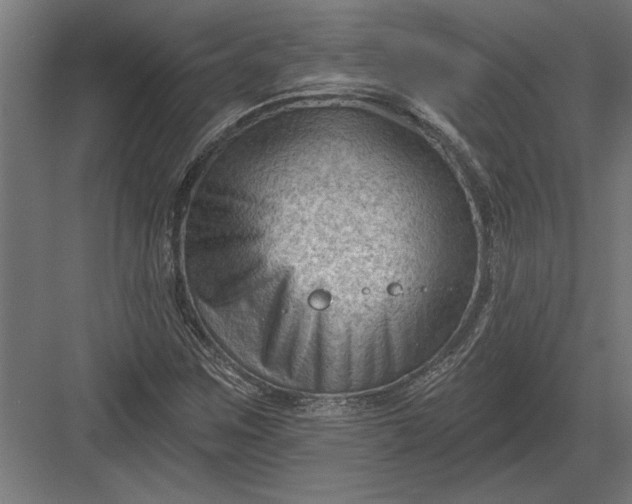 X0000082931259200702152138