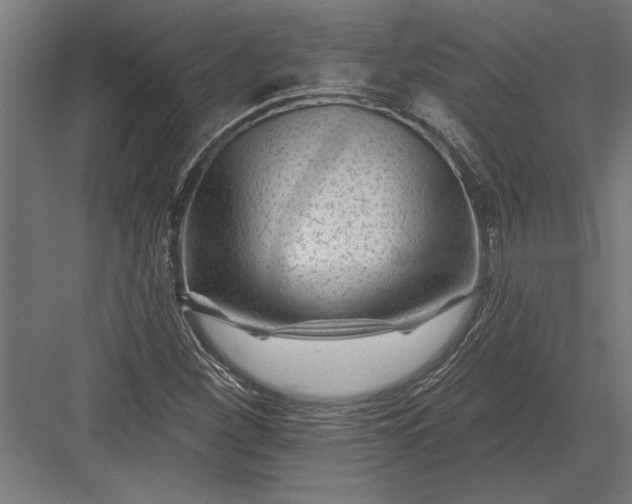 X0000082931260200702152138