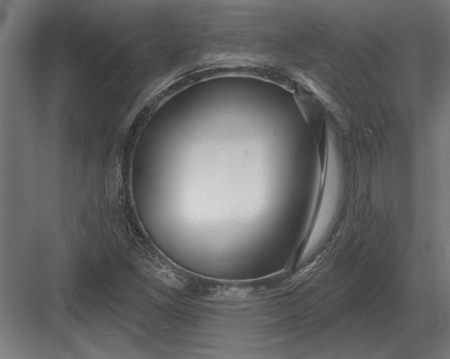 X0000082931261200702152138