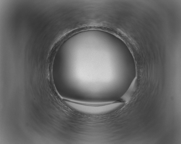 X0000082931262200702152138