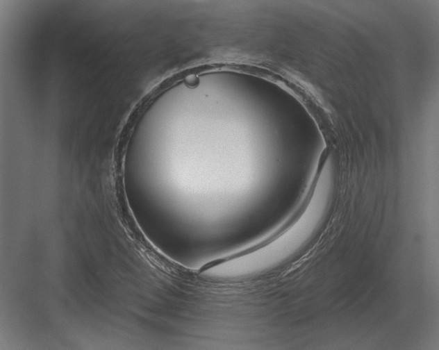 X0000082931264200702152138