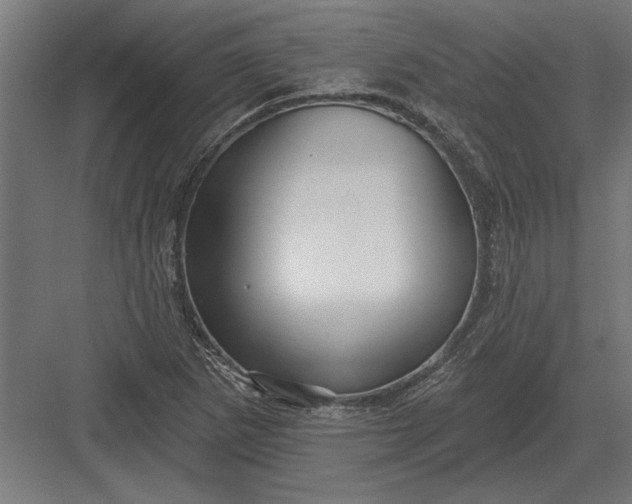 X0000082931265200702152138