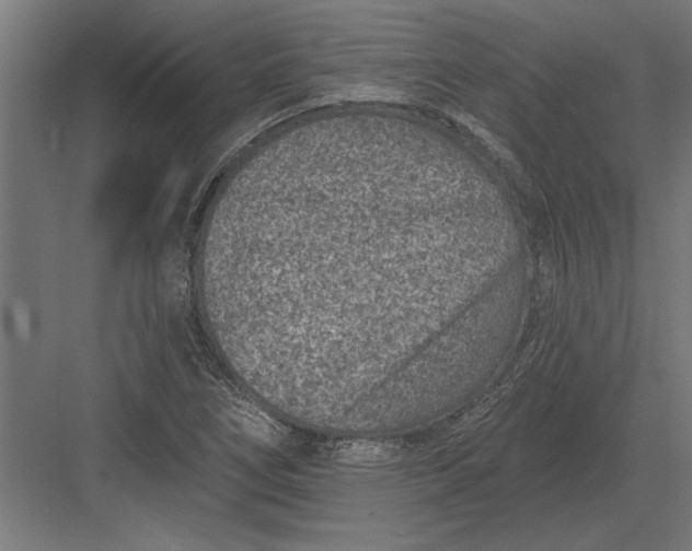 X0000082931266200702152138