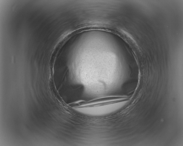 X0000082931267200702152138