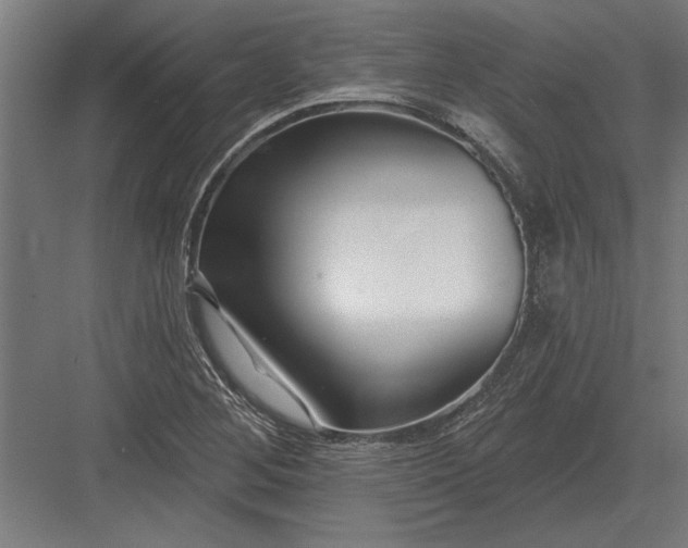 X0000082931268200702152138