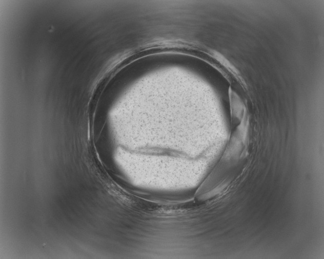 X0000082931269200702152138