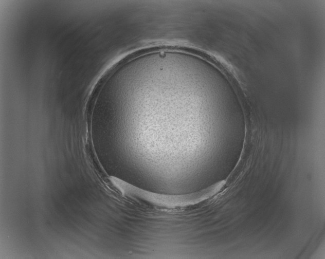 X0000082931271200702152138