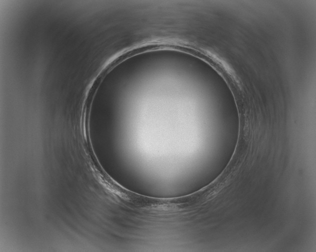 X0000082931272200702152138