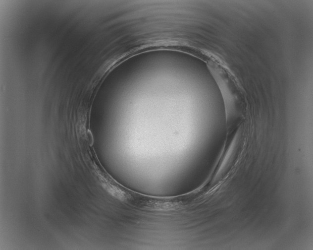 X0000082931273200702152138