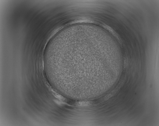 X0000082931274200702152138