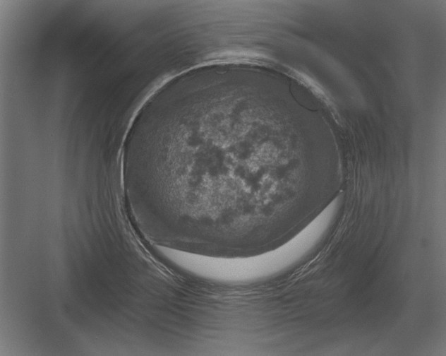 X0000082931275200702152138