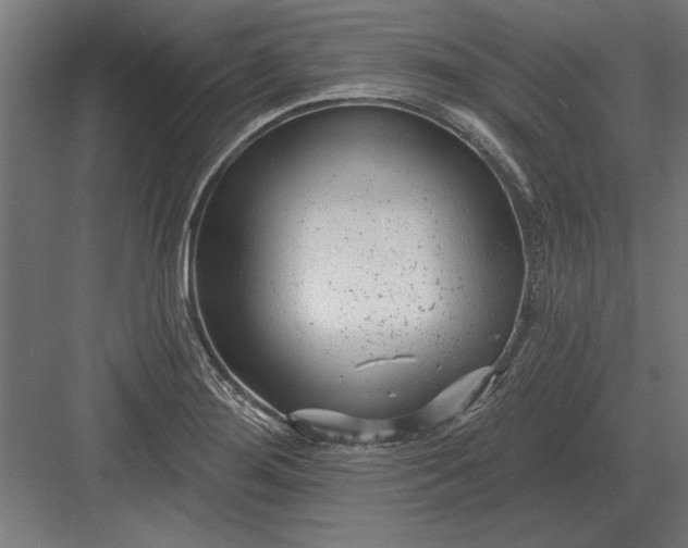 X0000082931276200702152138