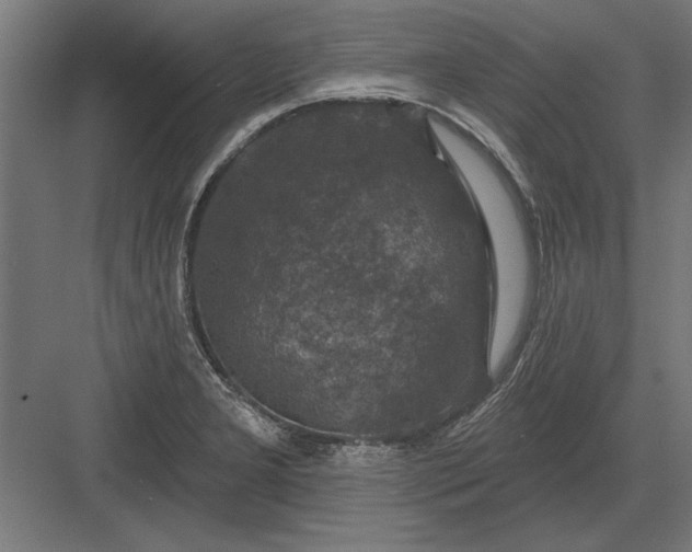 X0000082931277200702152138