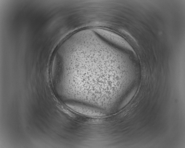 X0000082931278200702152138