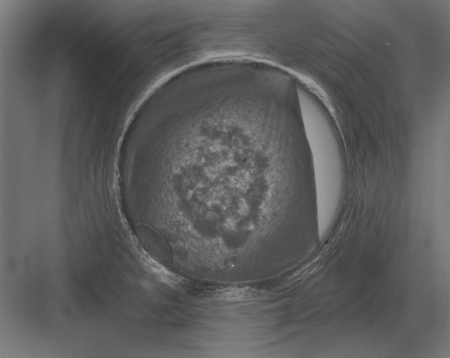 X0000082931279200702152138