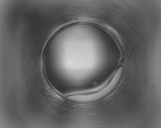 X0000082931280200702152138