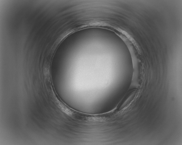 X0000082931281200702152138