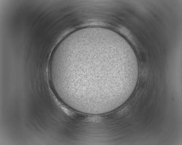 X0000082931282200702152138