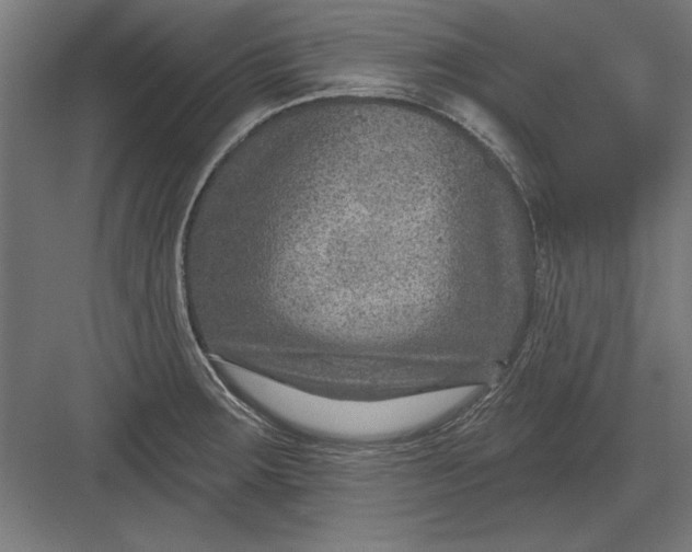 X0000082931283200702152138