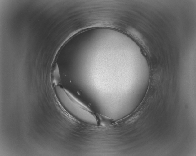 X0000082931284200702152138