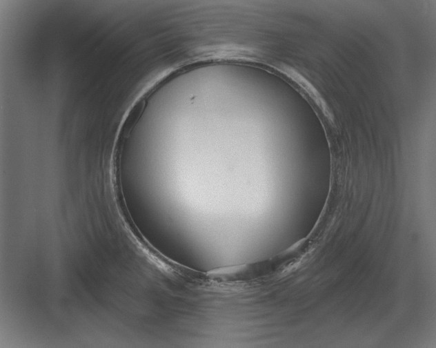 X0000082931285200702152138