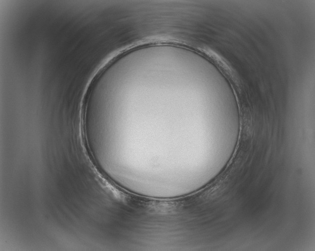 X0000082931286200702152138