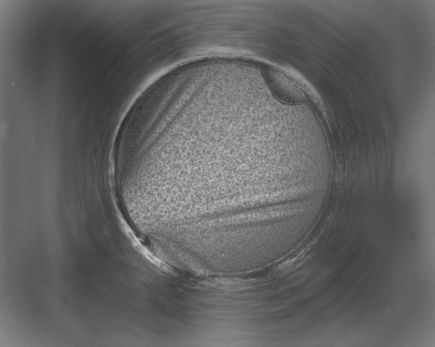 X0000082931287200702152138