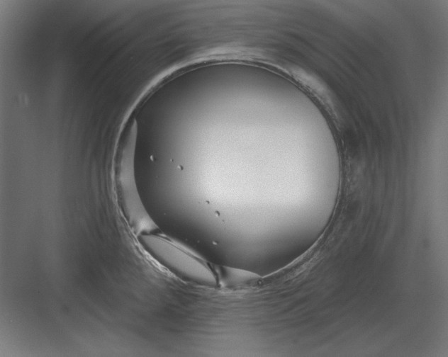 X0000082931288200702152138