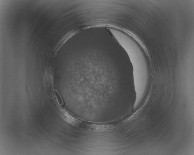 X0000082931289200702152138