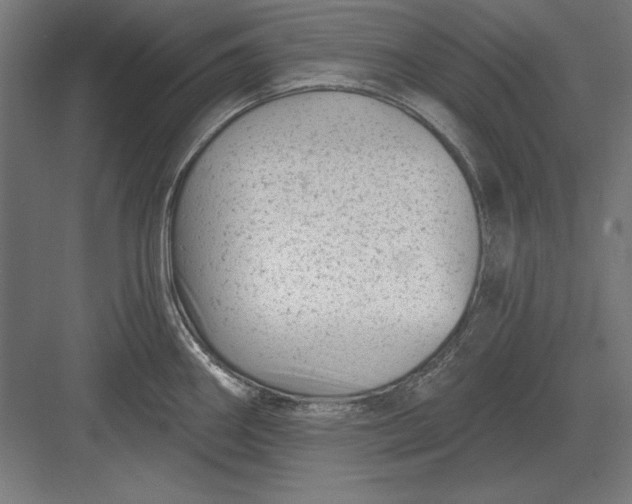 X0000082931290200702152138