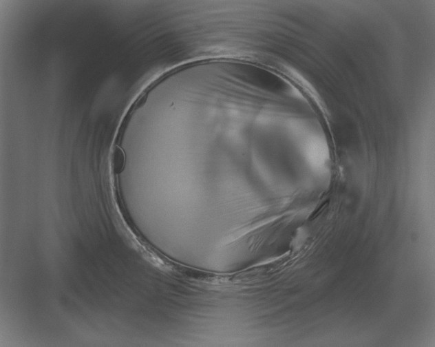 X0000082931291200702152138