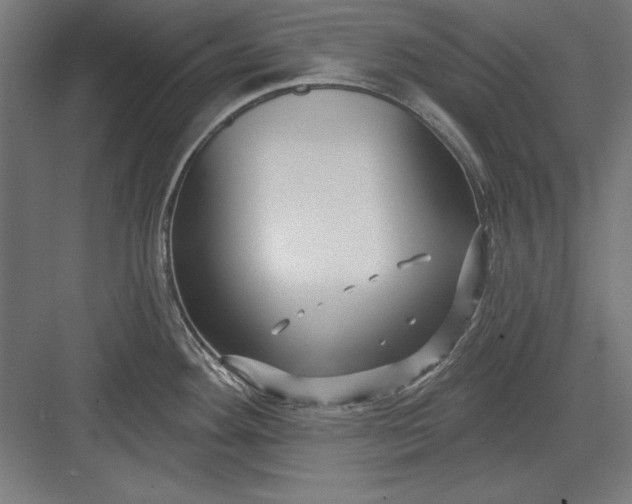 X0000082931292200702152138