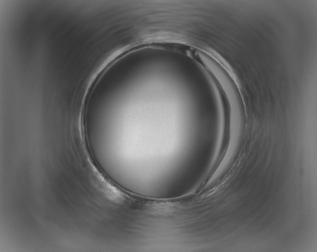 X0000082931293200702152138