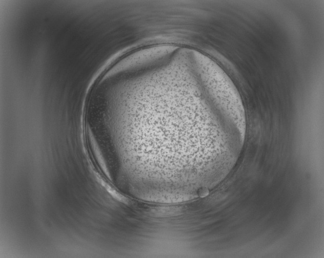 X0000082931294200702152138