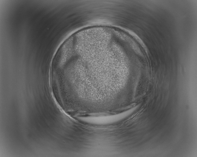 X0000082931295200702152138