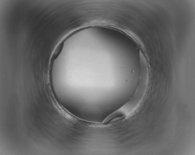 X0000082931296200702152138