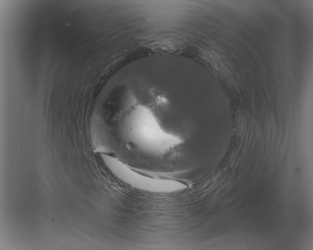 X0000082931297200702152137