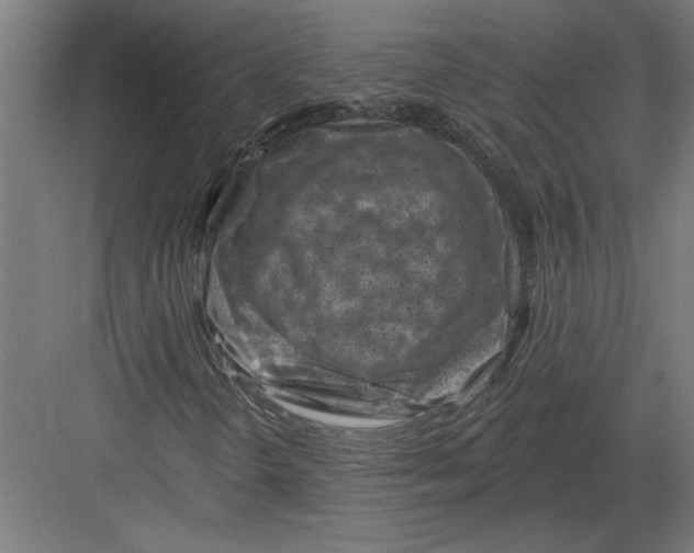 X0000082931298200702152137