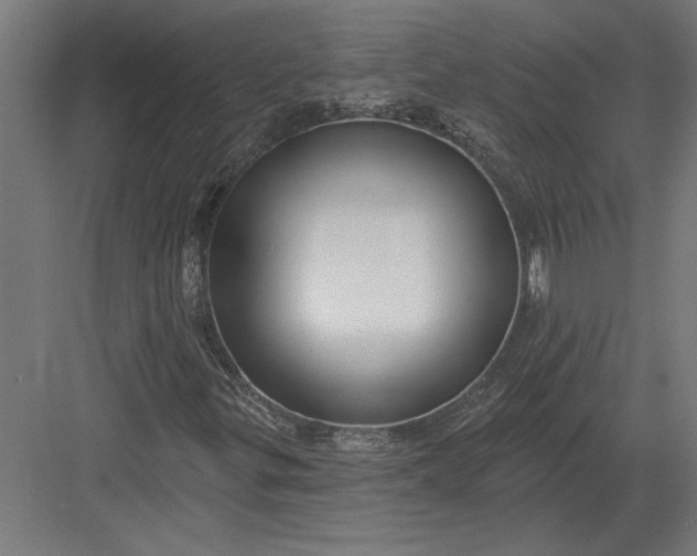 X0000082931299200702152137