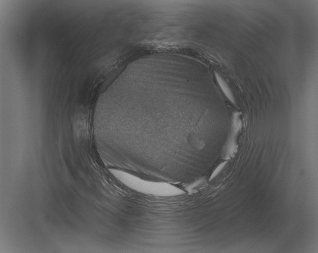 X0000082931300200702152137