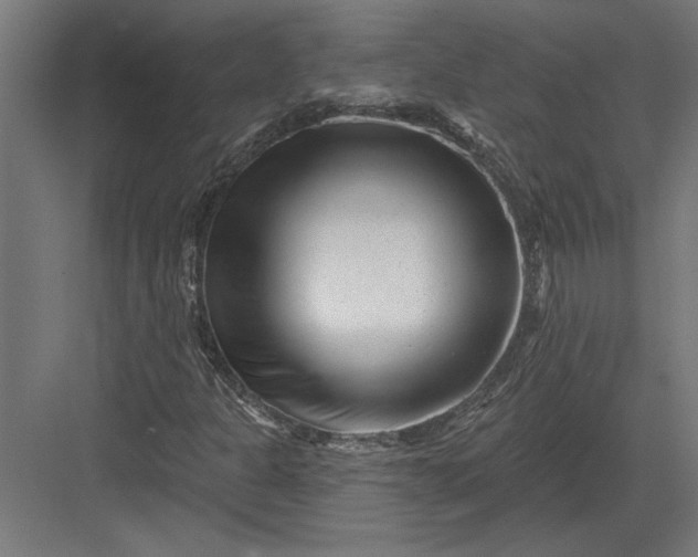 X0000082931301200702152137