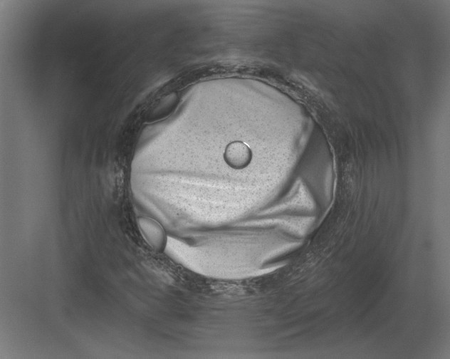 X0000082931302200702152137