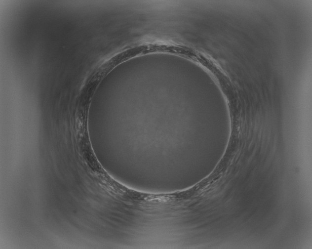 X0000082931303200702152137