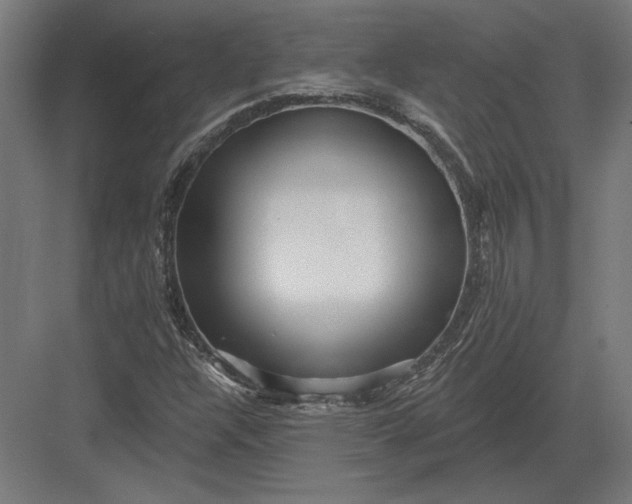 X0000082931304200702152137