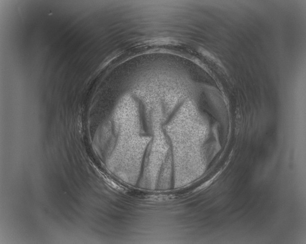 X0000082931305200702152137