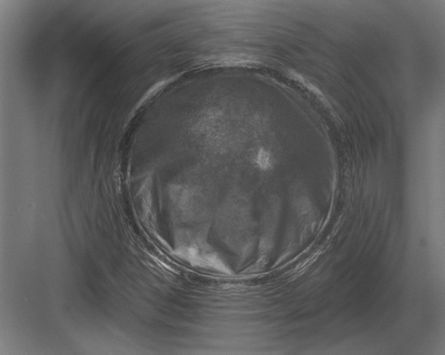 X0000082931306200702152137