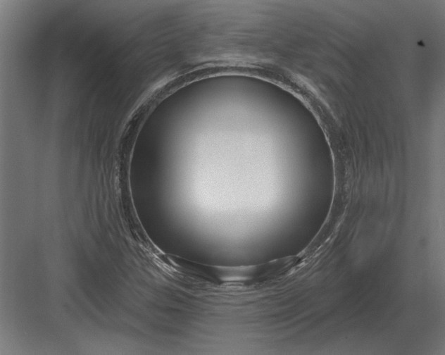 X0000082931307200702152137