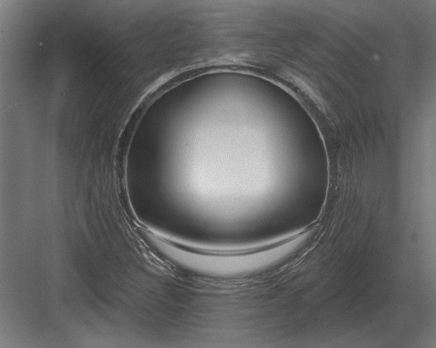 X0000082931308200702152137