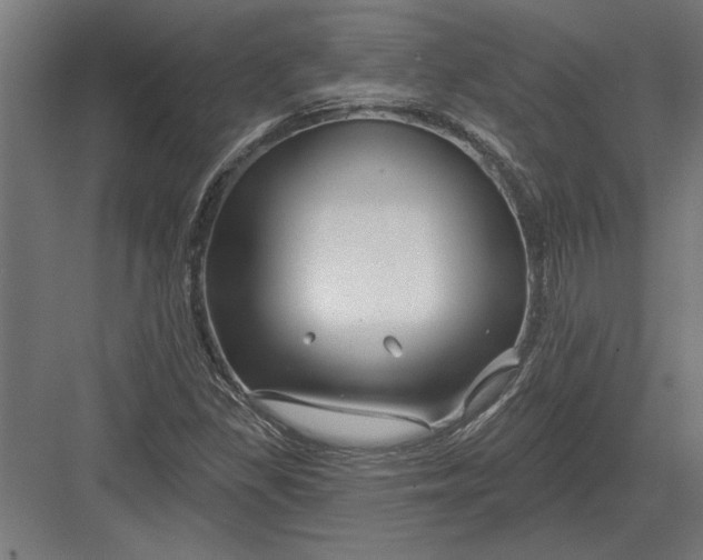 X0000082931309200702152137